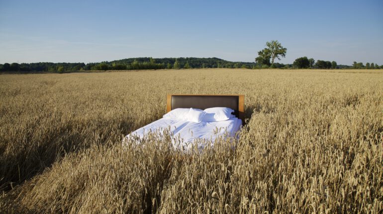 Double bed in middle of tall brown grass field