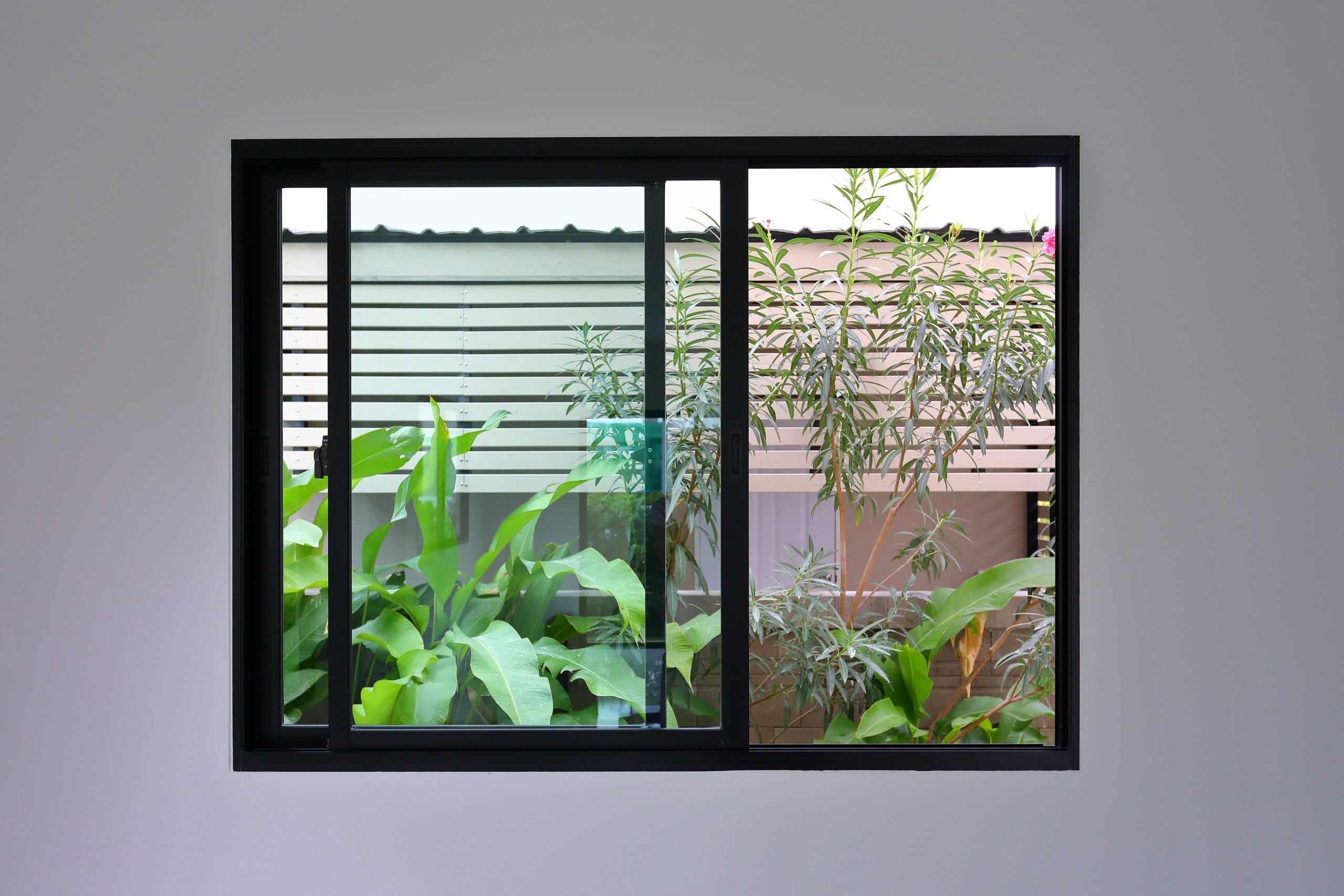 Close up of window with plants