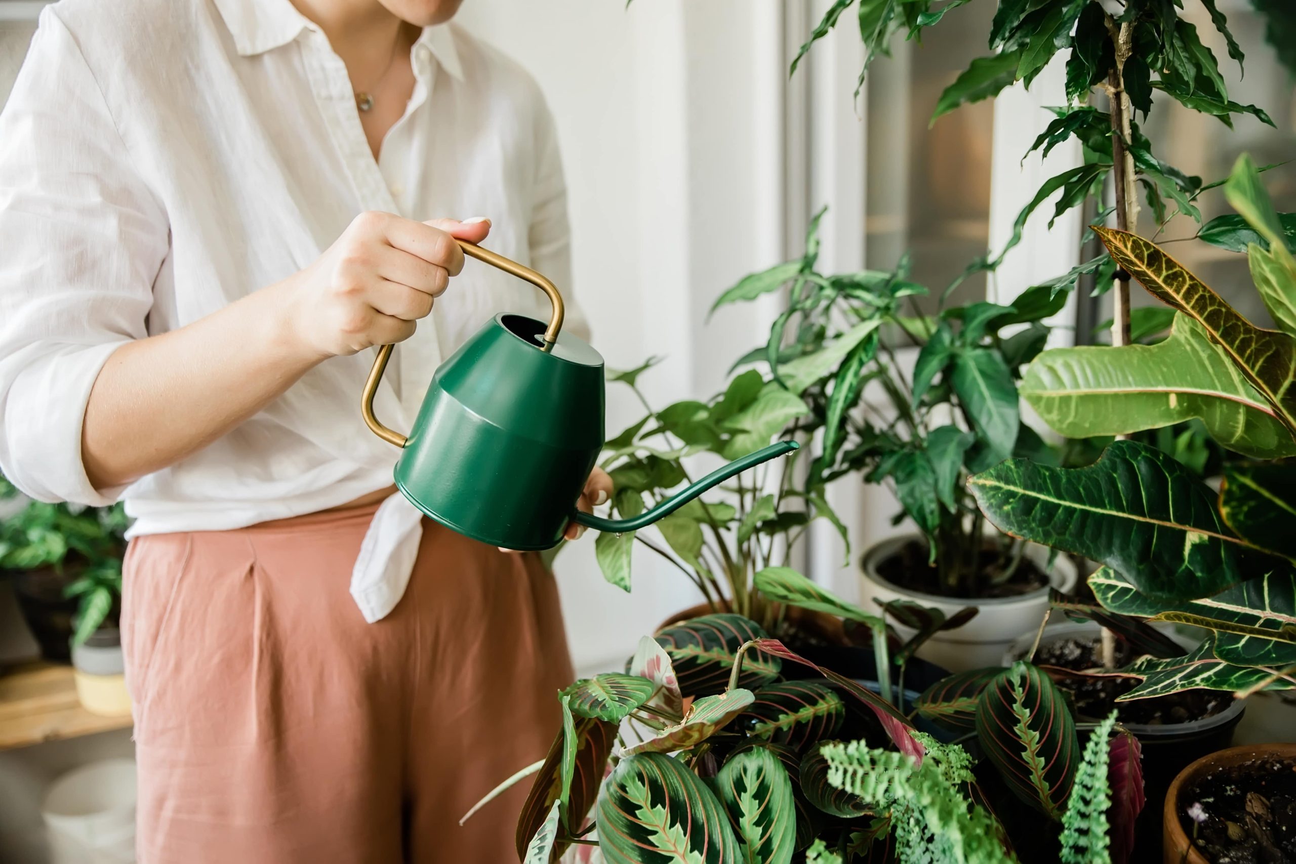 Woman in white button up watering plants 